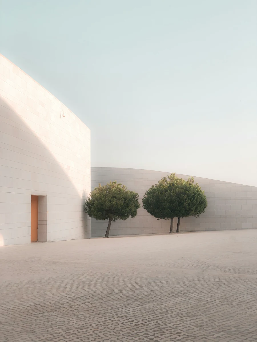 Illustrative reference: Minimal courtyard with olive trees, pale walls, and restrained negative space